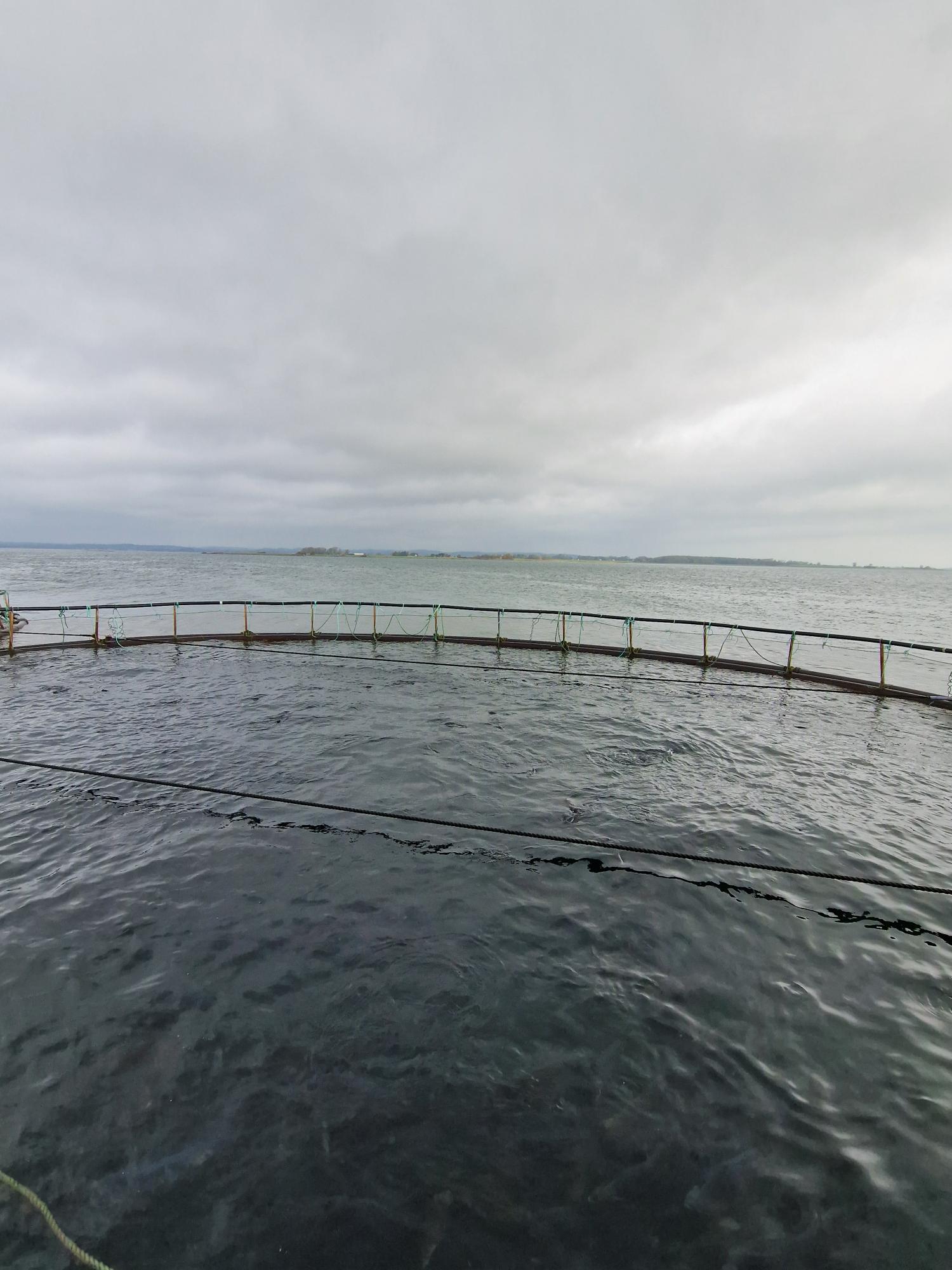 Aquakultur im Meer vor der Küste