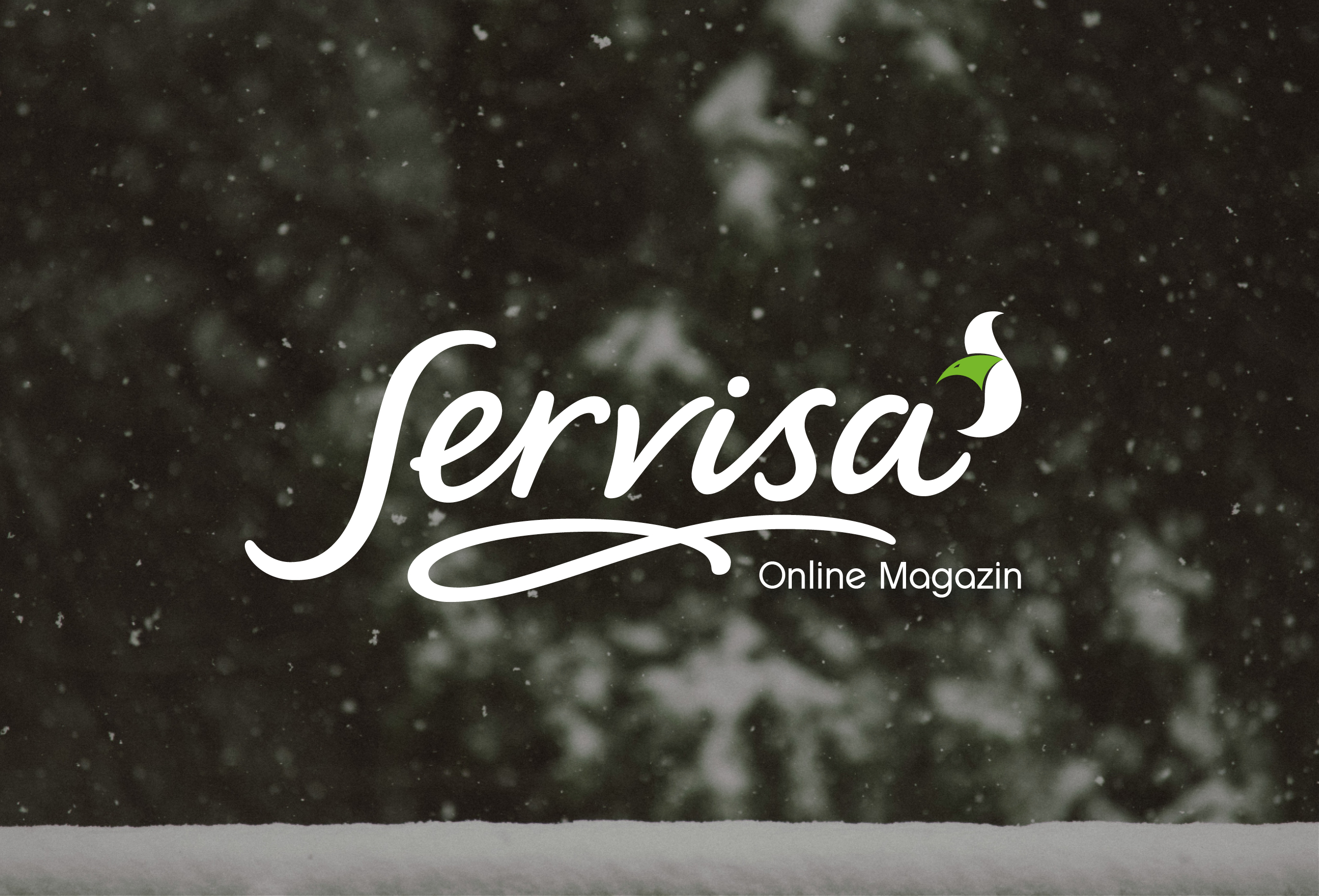 Titel Text hier steht der Alt Text