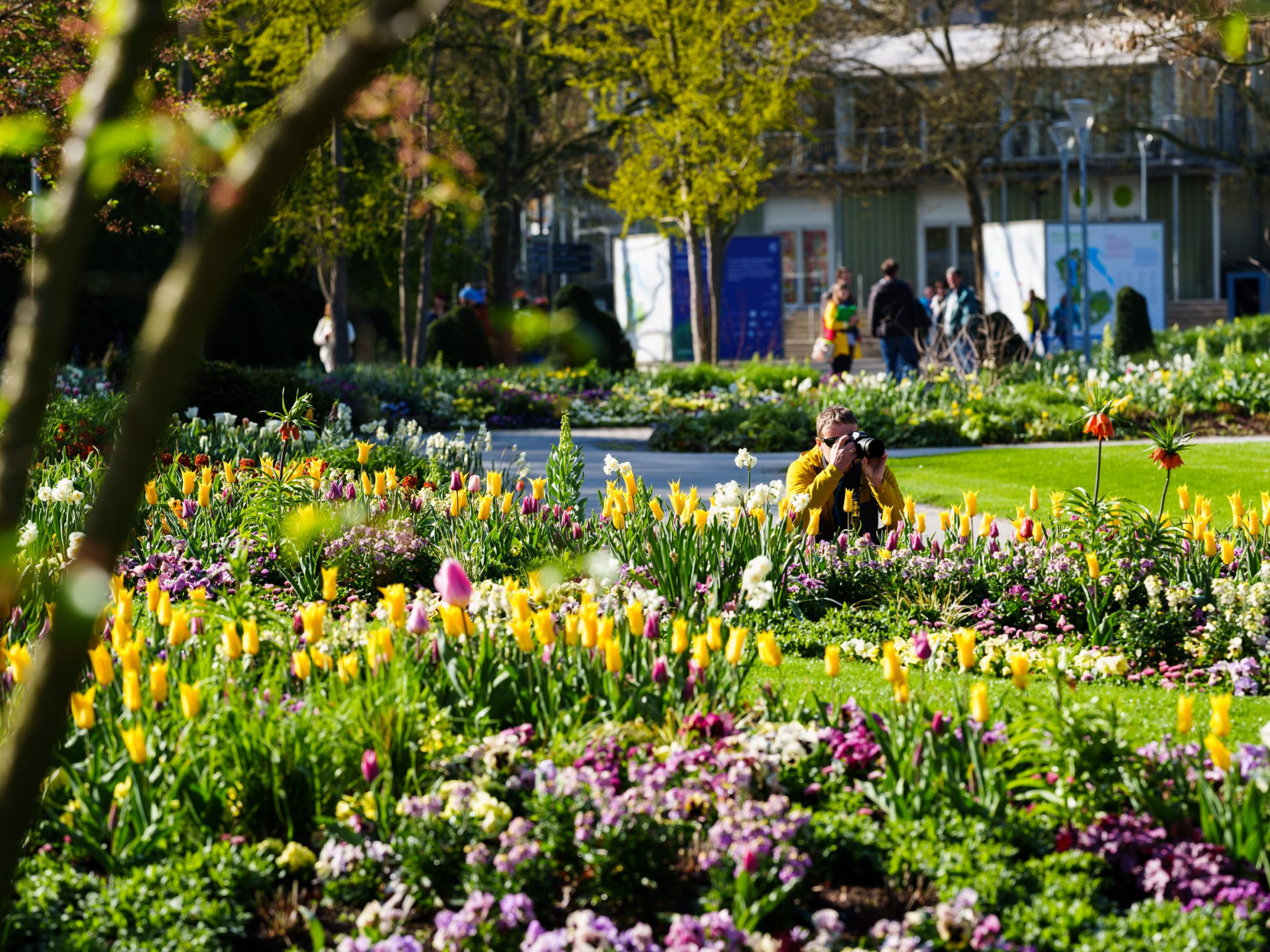 Gartenschau rundum versorgt