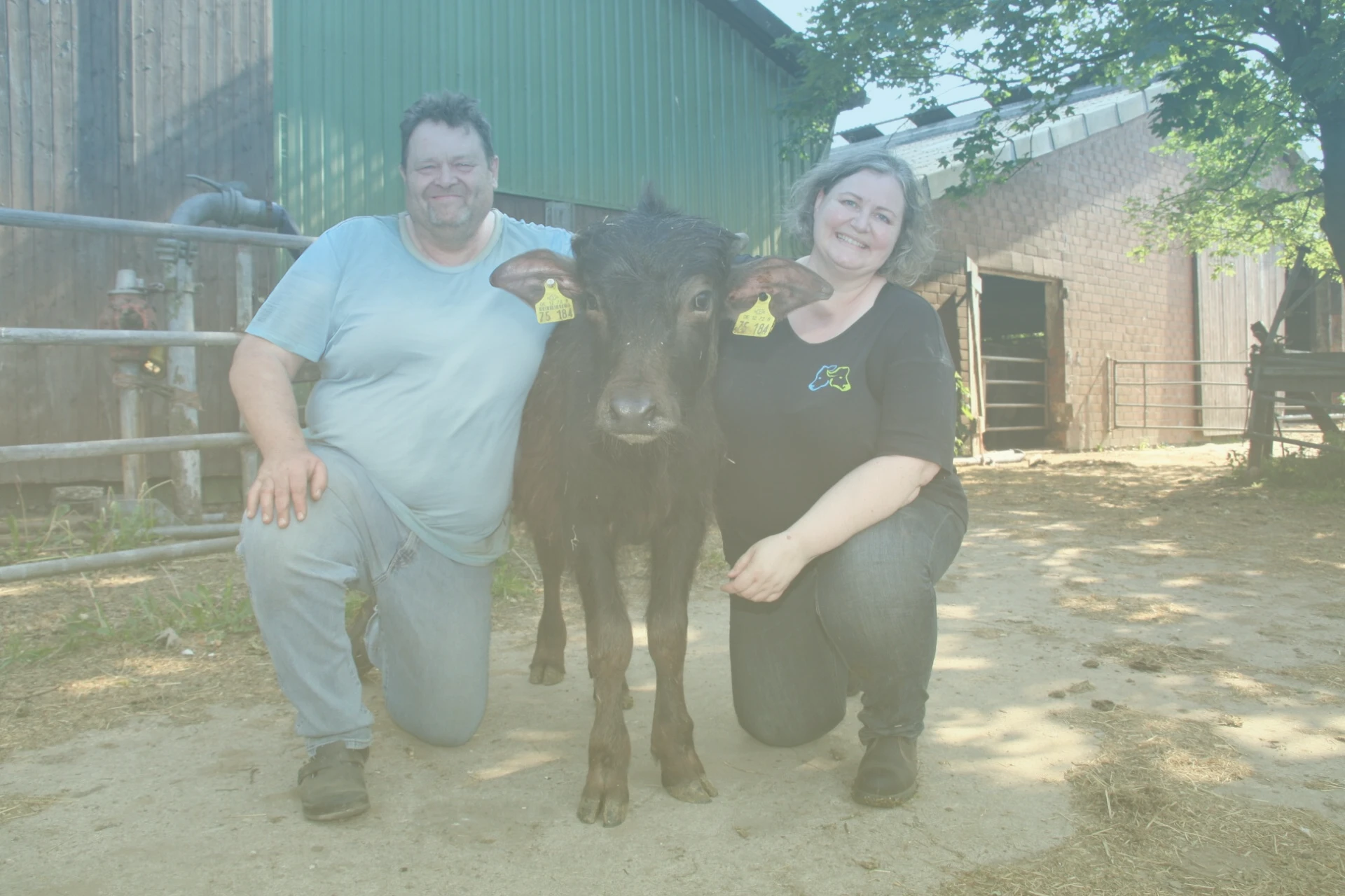 Feddersens Farm Ehepaar Feddersen mit einem Büffelkalb