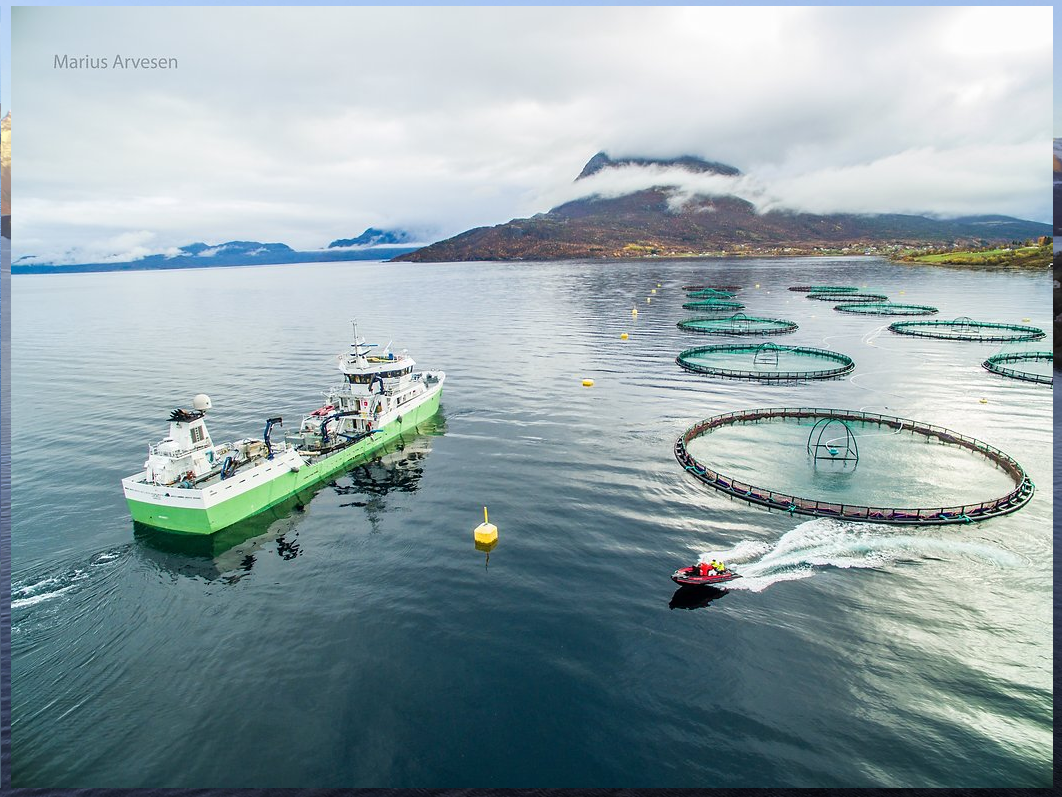 Mermaid Aquakultur  in Norwegen