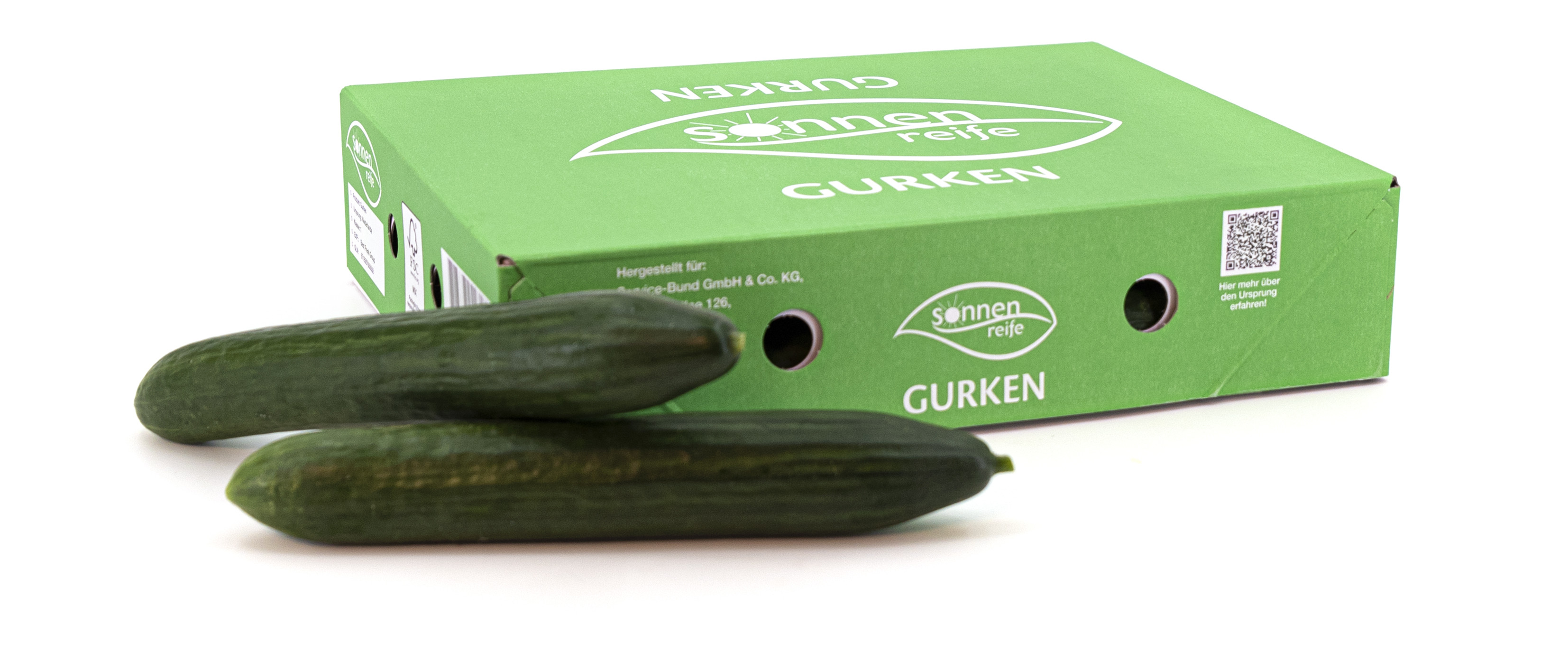 Sonnenreife Gurke mit Karton Sonnenreife Gurke mit Karton