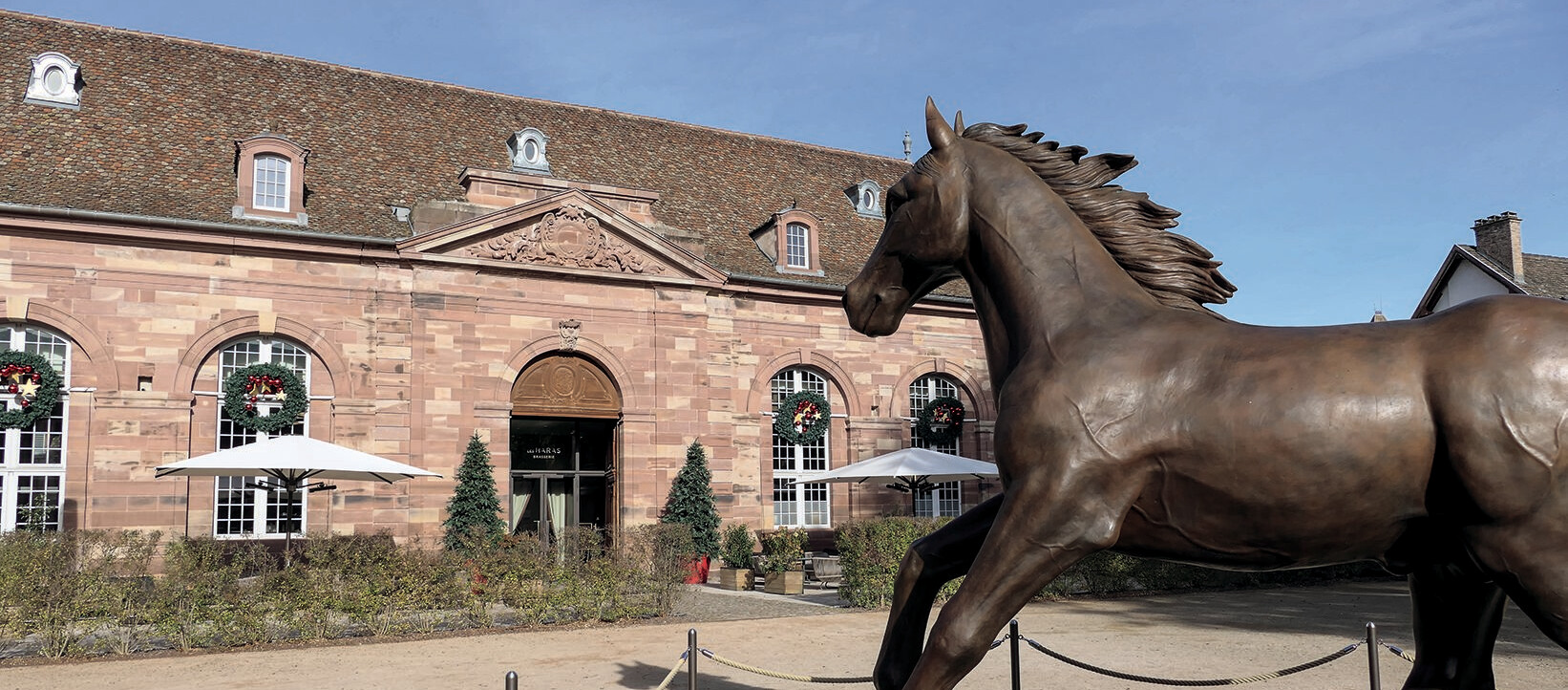 In der Les Haras Brasserie in Straßburg trifft Geschichte auf lebendige Gastlichkeit. Unter der Leitung von Chef de Cuisine François Baur verwandelt sich das ehemalige Stallgebäude in einen Ort, an dem täglich mehrere Hundert Gäste empfangen werden. Seit vielen Jahren an seiner Seite: das Service-Bund Unternehmen Zink und Fachberaterin Vanessa Preschle. In der Les Haras Brasserie in Straßburg trifft Geschichte auf lebendige Gastlichkeit. Unter der Leitung von Chef de Cuisine François Baur verwandelt sich das ehemalige
Stallgebäude in einen Ort, an dem täglich mehrere Hundert Gäste empfangen werden. Seit vielen Jahren an seiner Seite: das Service-Bund Unternehmen Zink und Fachberaterin Vanessa Preschle.