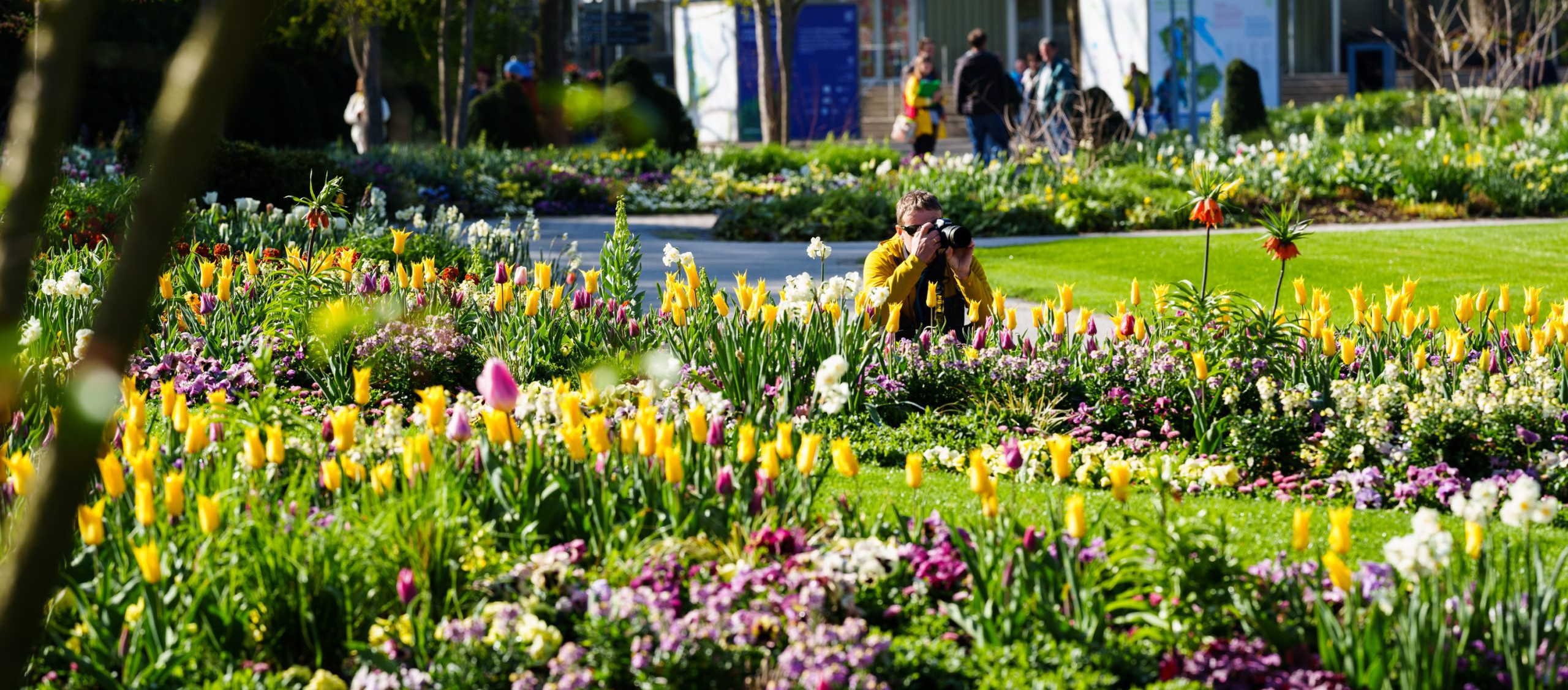 Gartenschau rundum versorgt