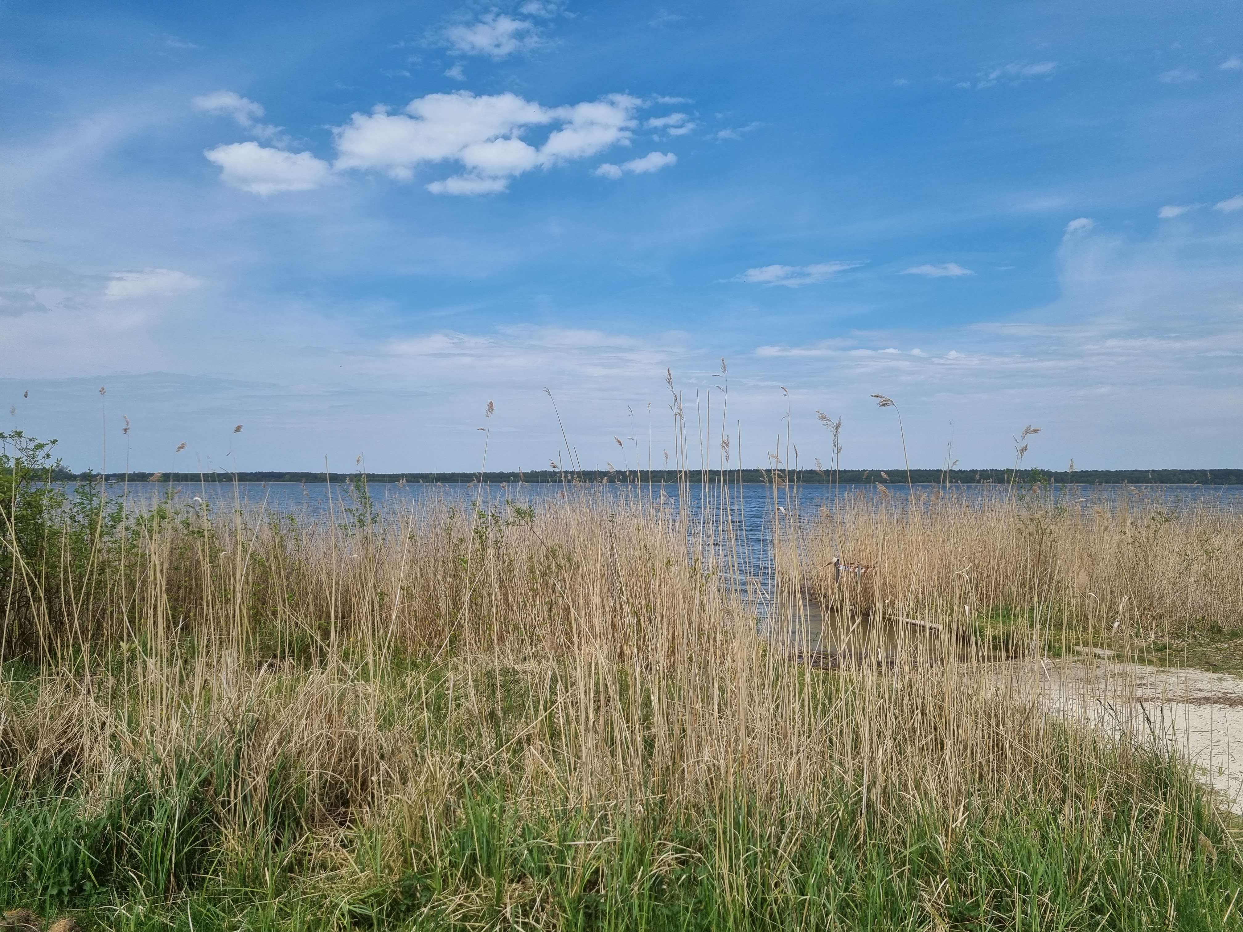 Arendsee in Sachsen-Anhalt