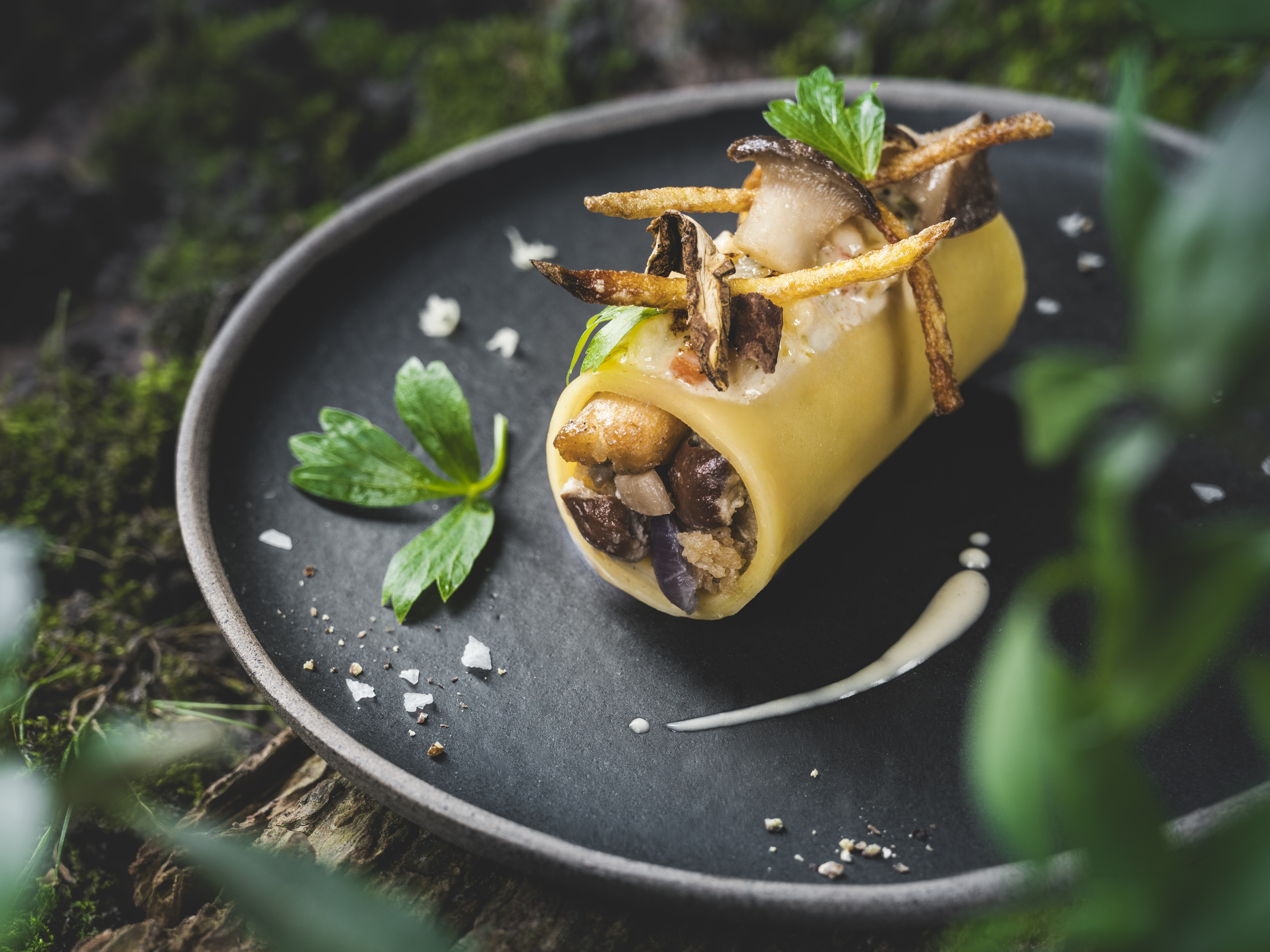 Gratinierte Steinpilzcannelloni Gratinierte Steinpilzcannelloni mit einem Spritzer Gemüsesud