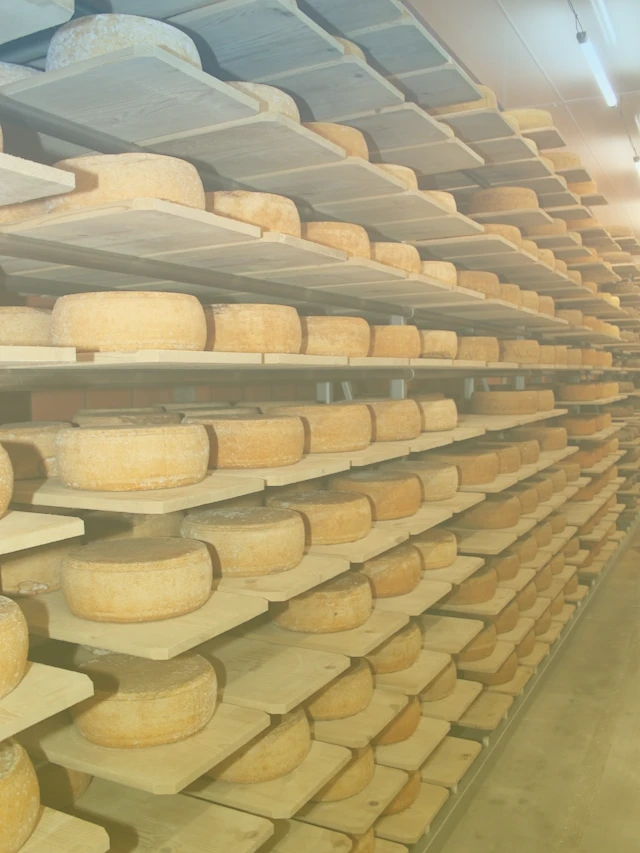 Aus der Region - Käseregal Aus der Region - Regale mit Käse