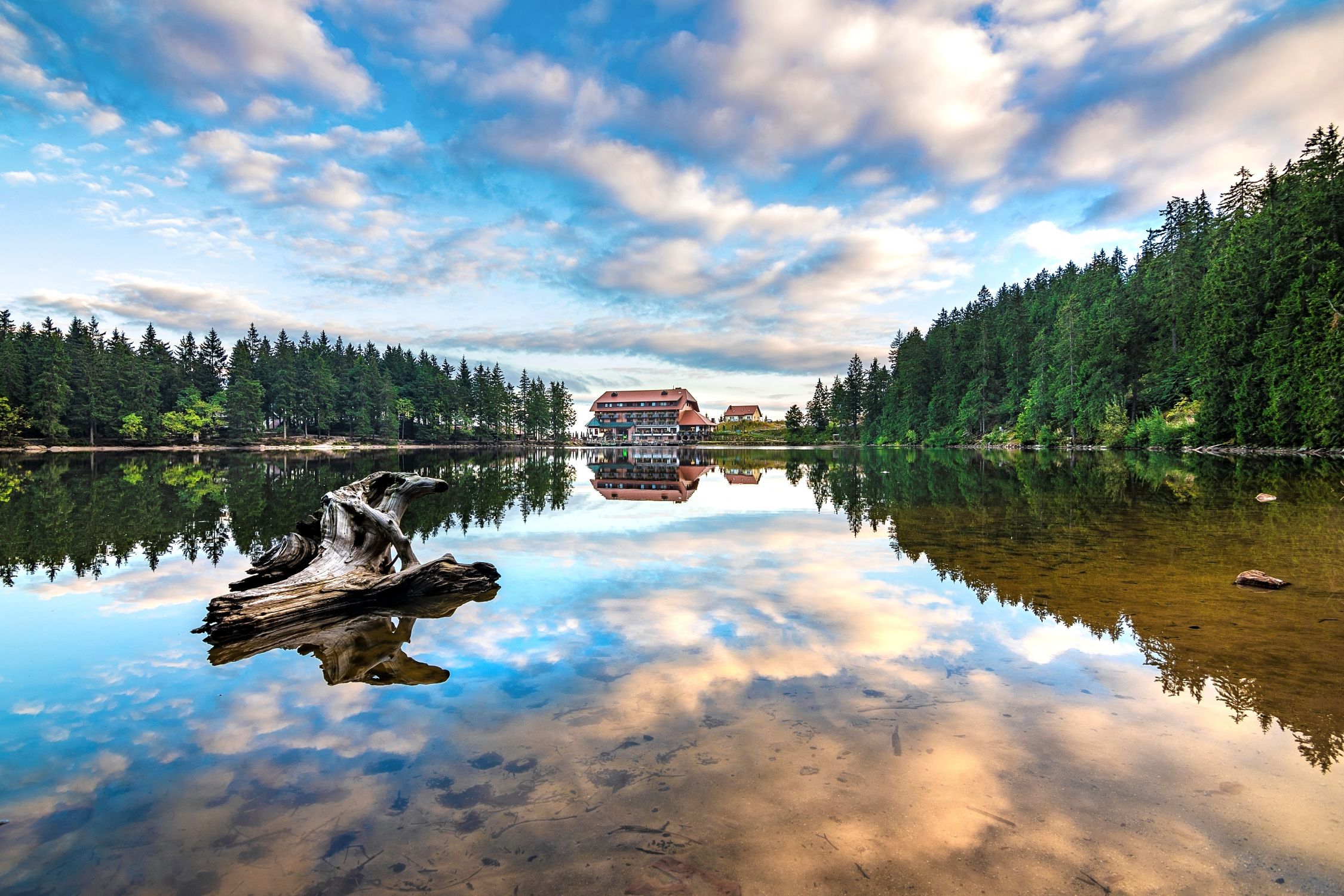 Verwunschener Ort für eine Auszeit: Erlebniswelt Mummelsee Verwunschener Ort für eine Auszeit: Erlebniswelt Mummelsee