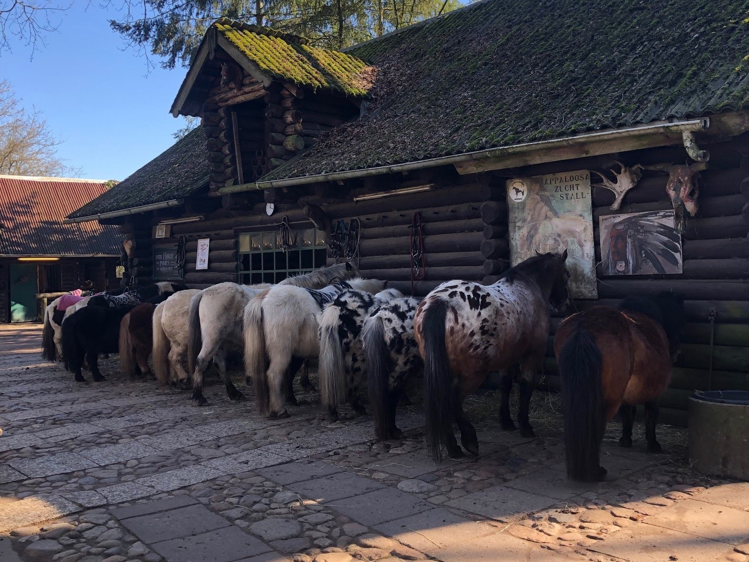 Ponys Klövensteen