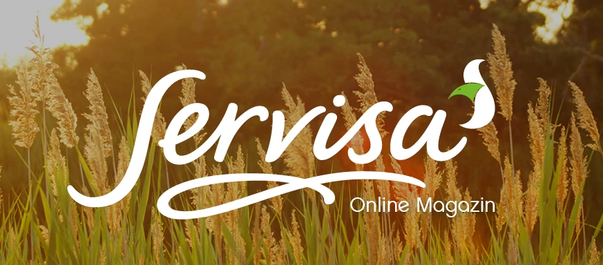 Servisa_Online_Magazin_Header_Website_Sommer_2 Servisa_Online_Magazin_Header_Website_Sommer_2
