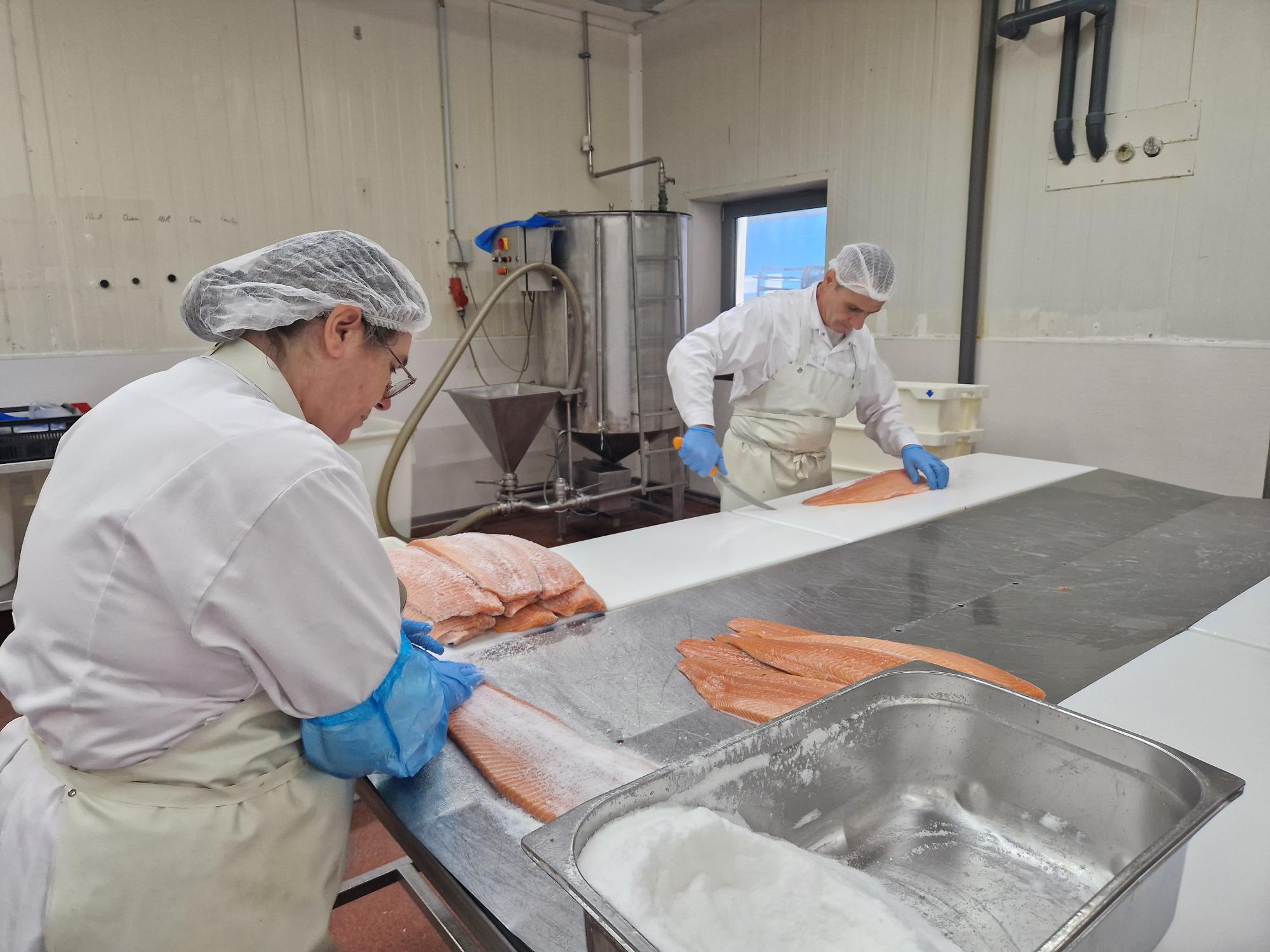 Einsalzen des Mermaid Räucherlachs in der Produktionshalle Einsalzen des Mermaid Räucherlachs in der Produktionshalle
